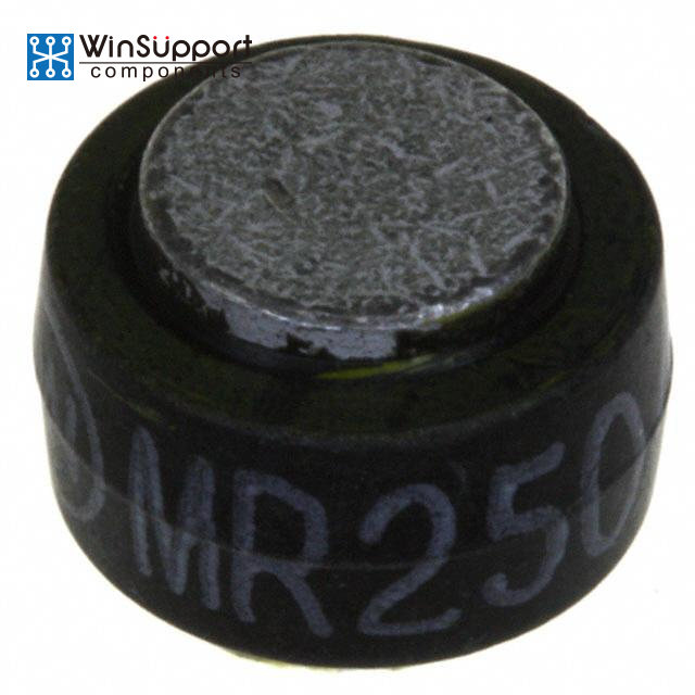 MR2502 P1